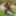 BIG Lesbian Orgy with Grannies and Young Girls PART 2