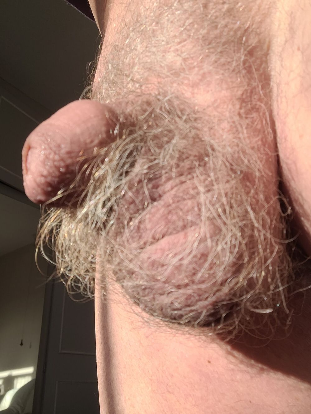 For hairy balls and pubes lovers #45