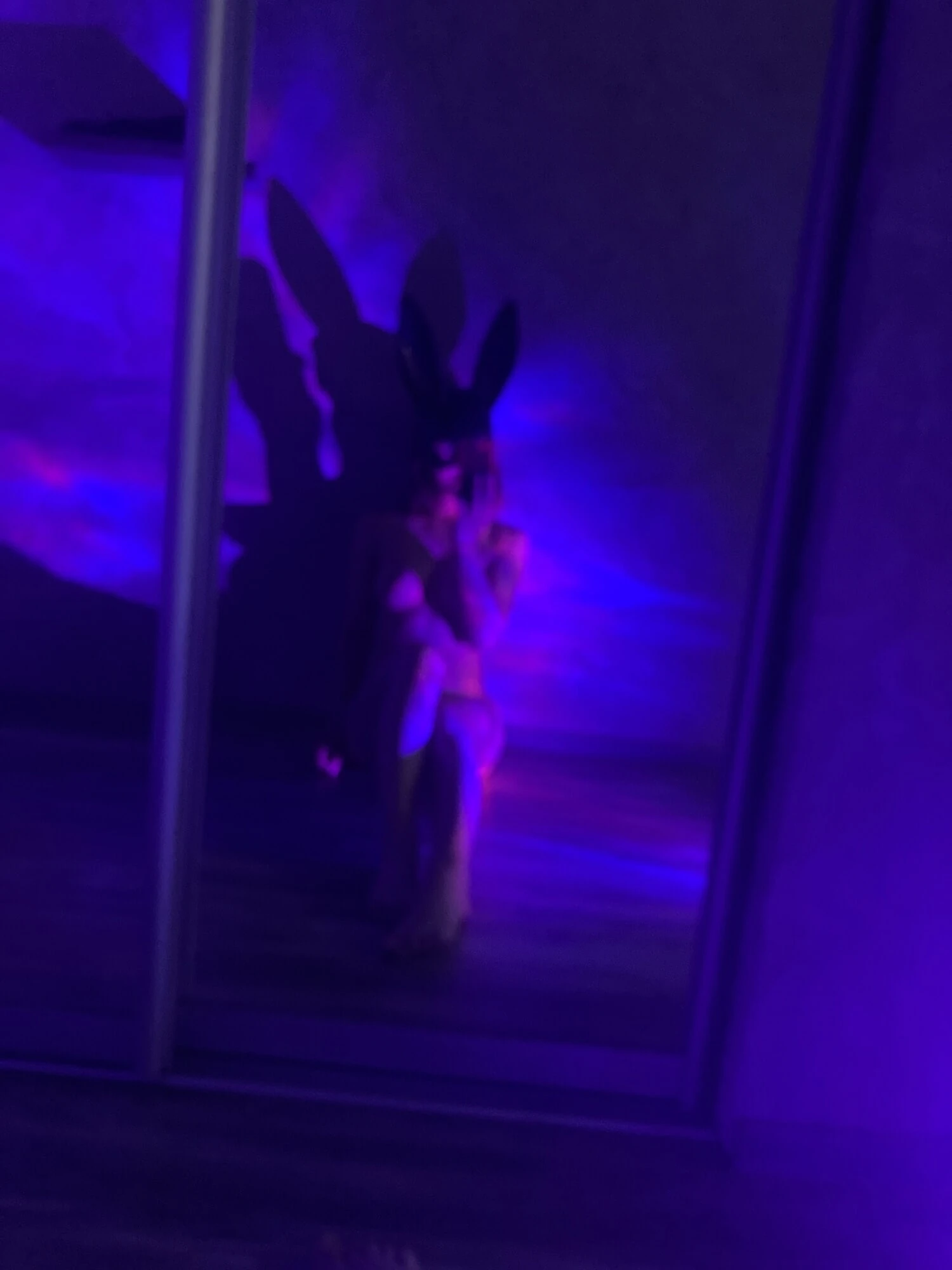 The bunny was abandoned by the hostess🐰