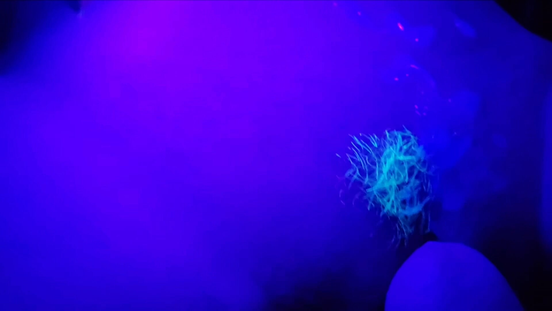 Glowing blacklight fun #19