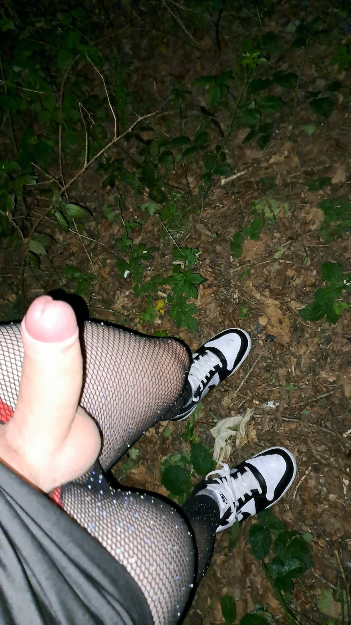 Ivy's destruction 