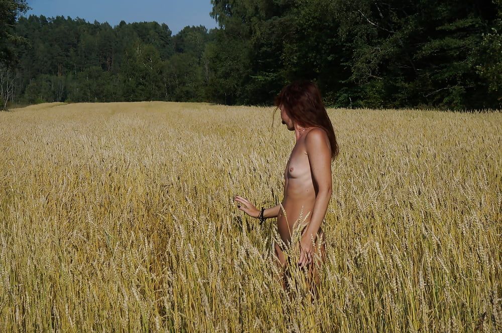 in golden field #3