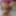 Horny MILF Wife BBW Thick Curvy Chubby PAWG Big Tit Girl GIF