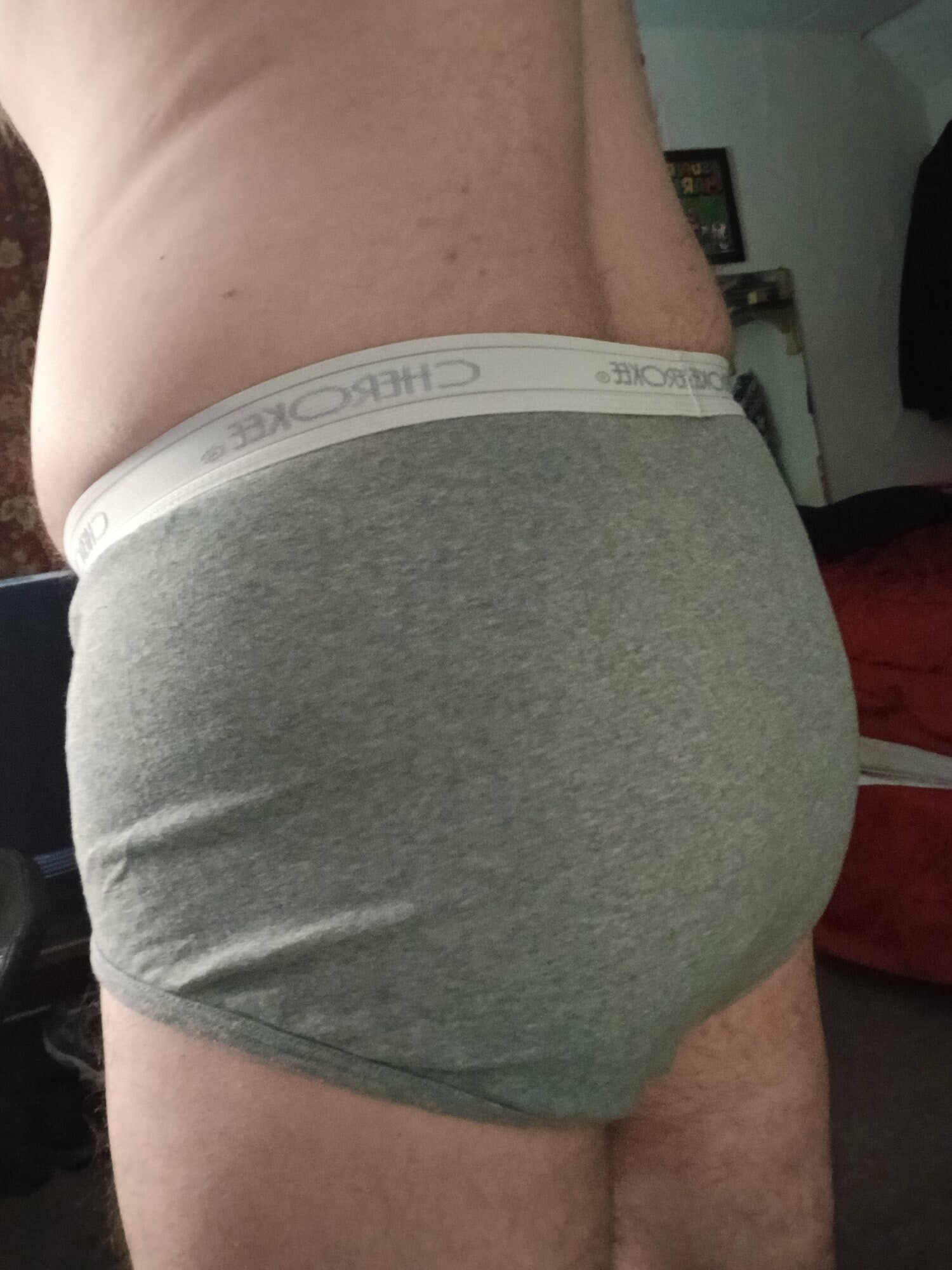 Gray Cherokee briefs #2