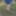 Bare bum in the forest #5