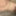 Cock