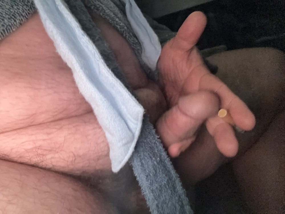 BrewsterBear Again #47