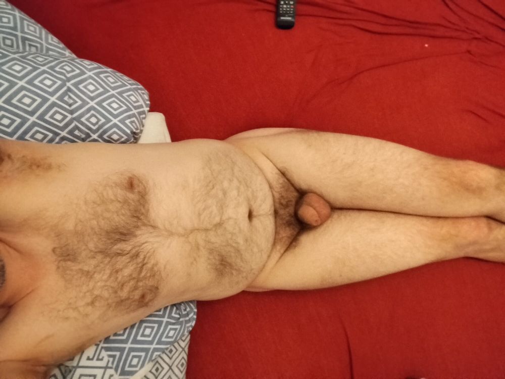 Bear on bed #12