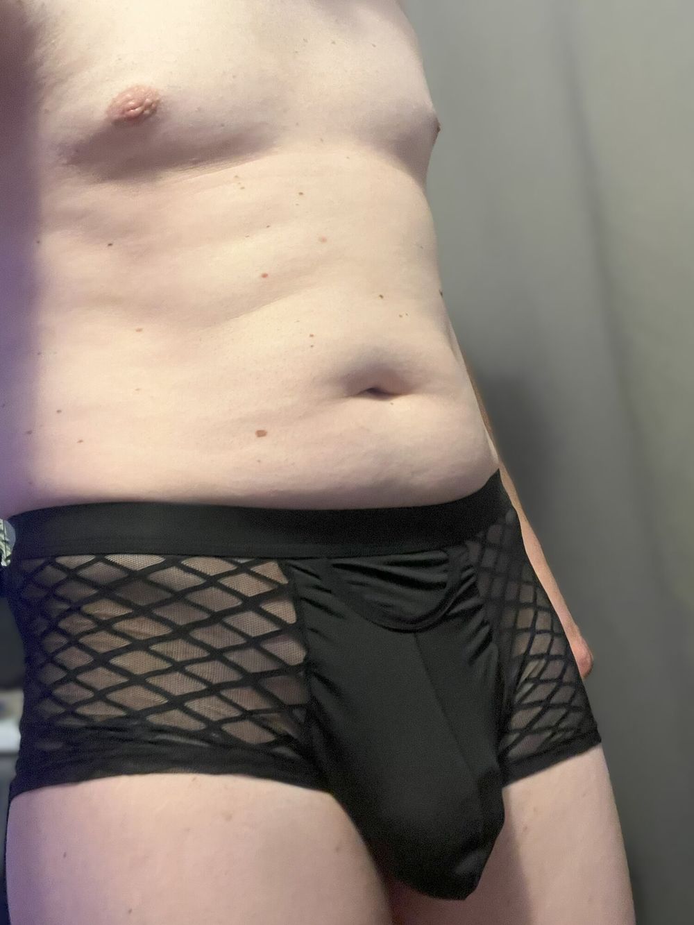 Lace Mesh Briefs #3