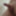 ディックの写真