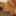 Yui Kawagoe :: Ourdoor Survival Game - CARIBBEANCOM #17