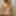 Striptease en Rose  #10