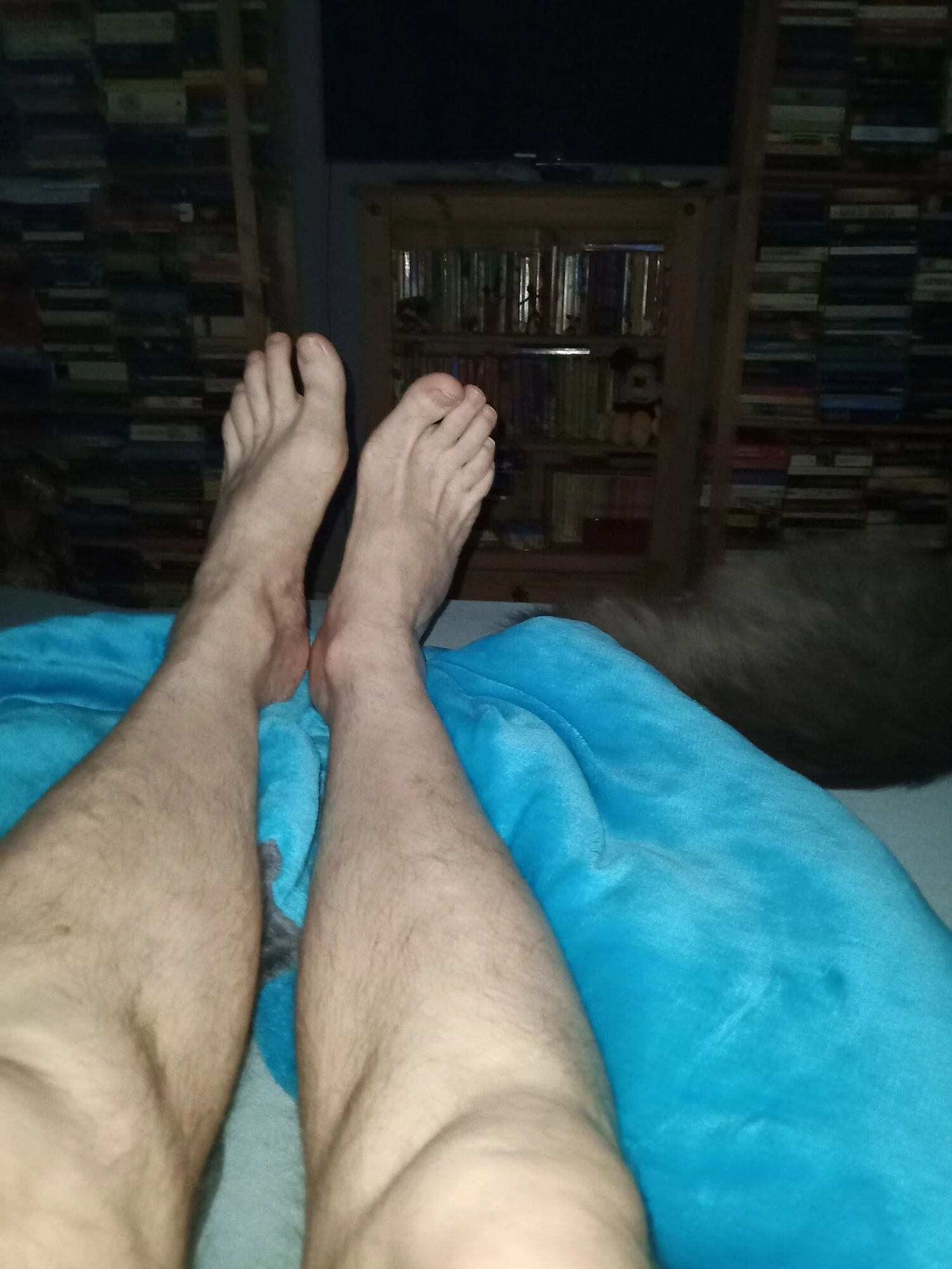 Feet 