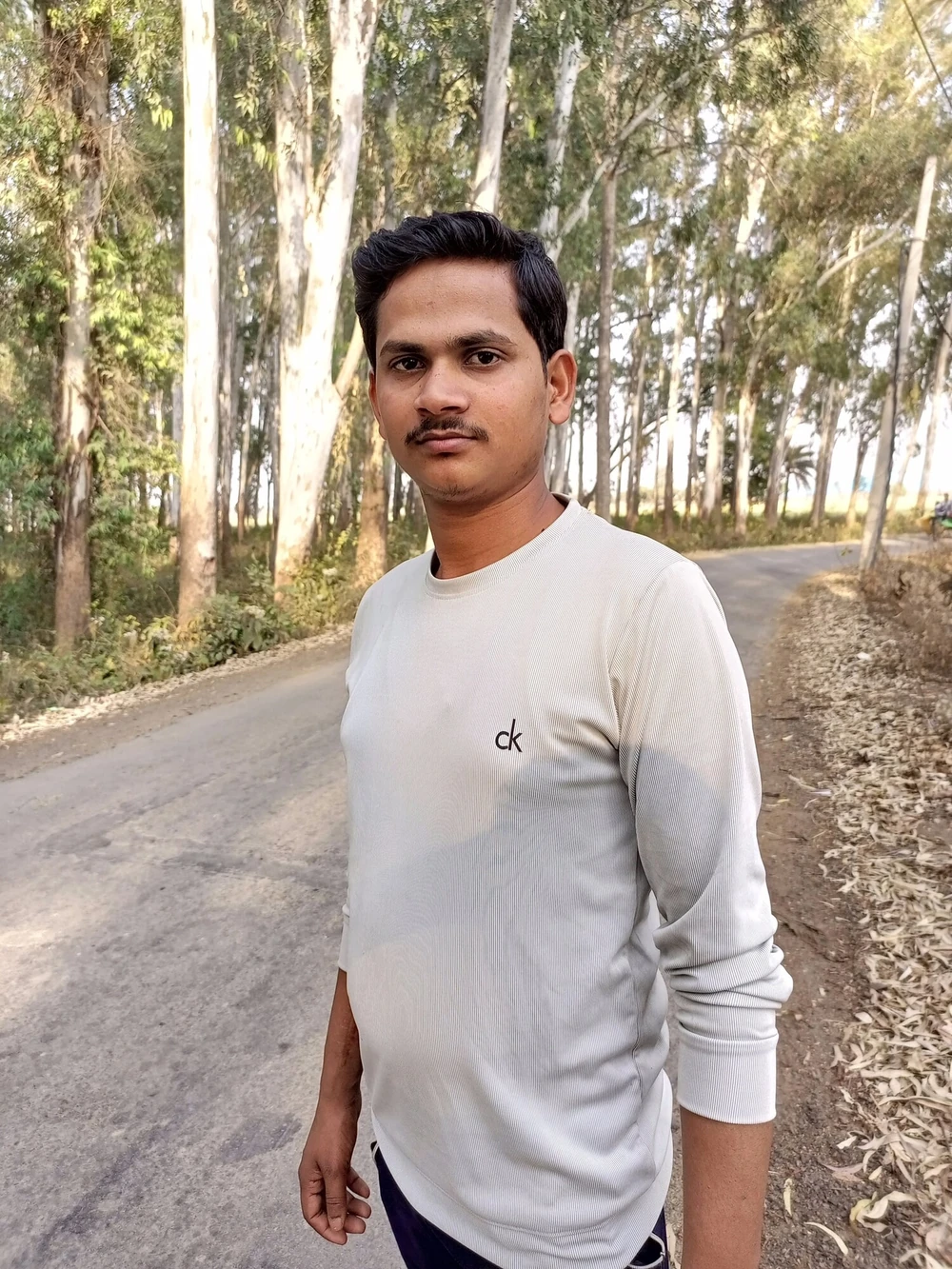 Singal 