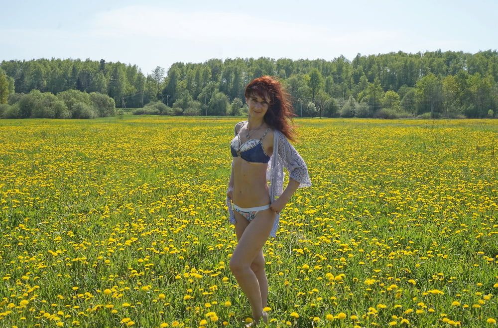 Yellow Meadow #4