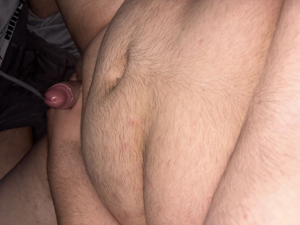 fat bear wanting cock #6