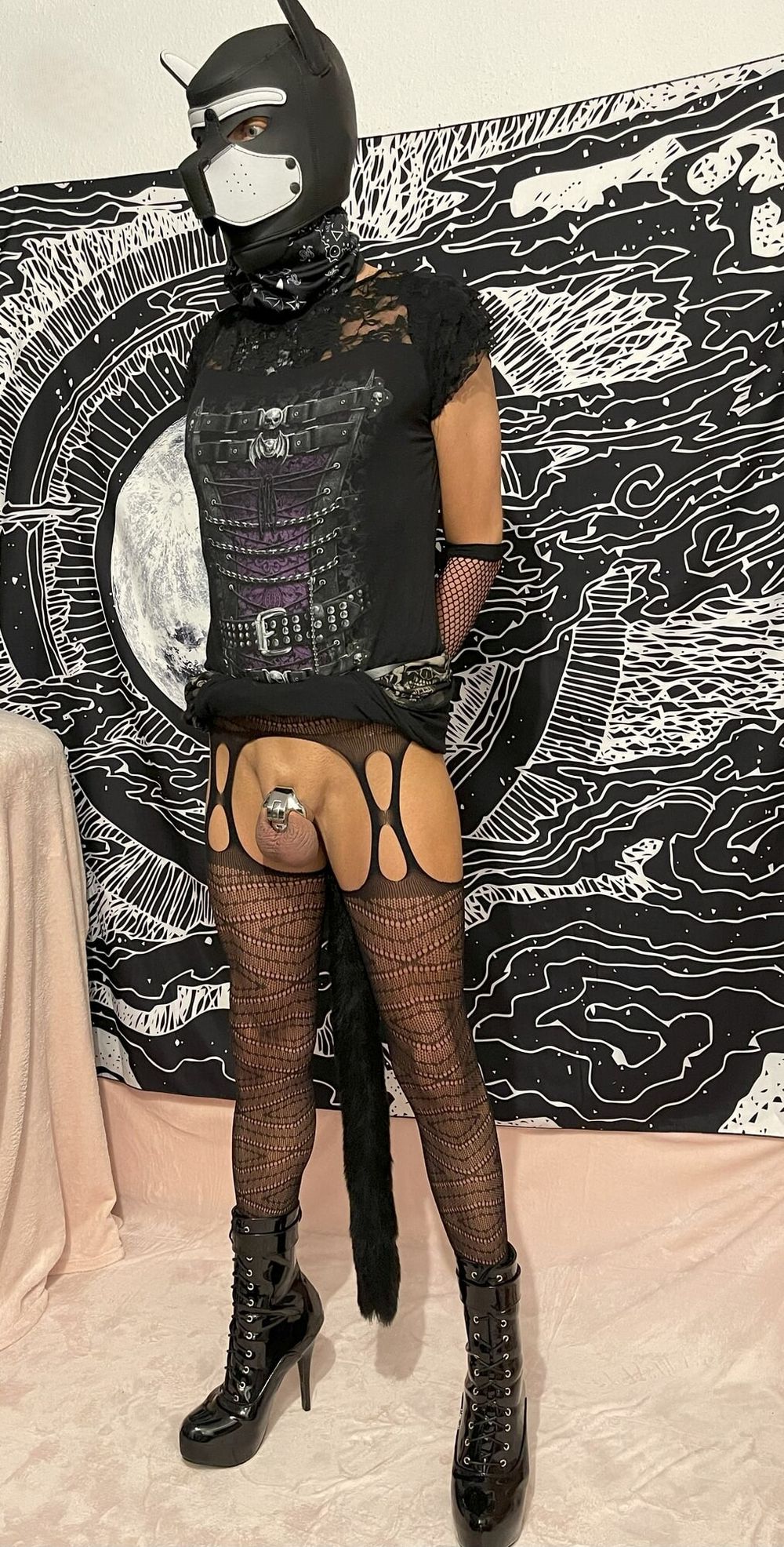 Sissy and a new tiny metal cage #4