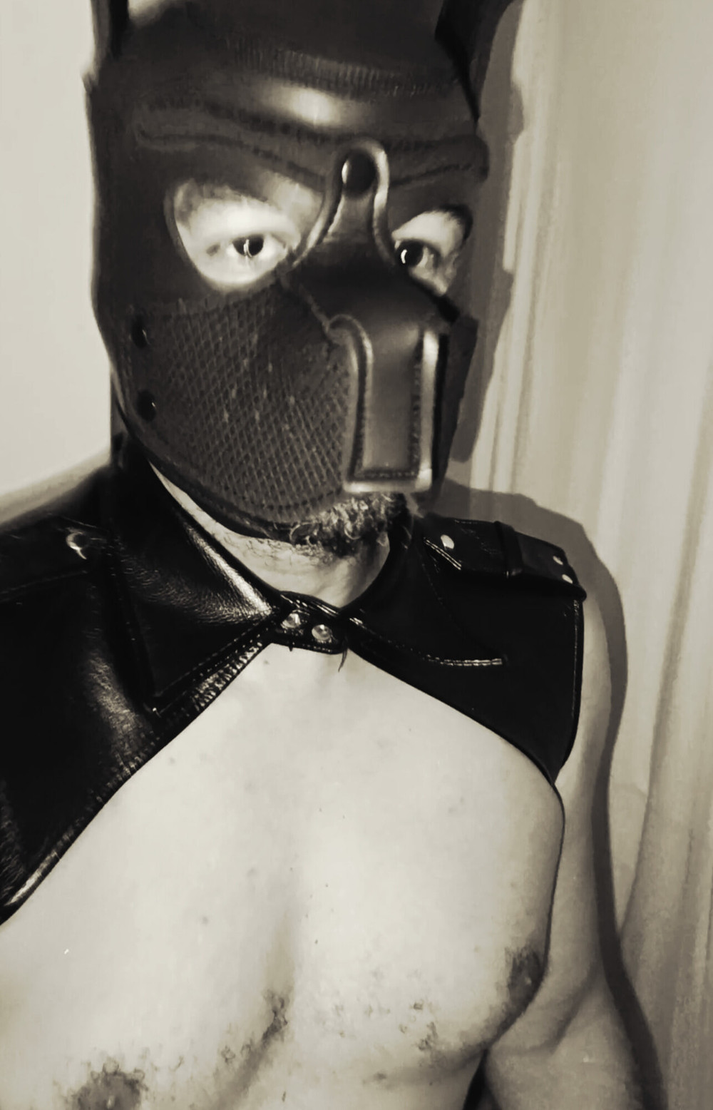 Brazilian Black Fucker  #4