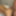 Our “MILF Loving Anal” goes viral!  
