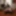 PLUGTOBER  PICTURES