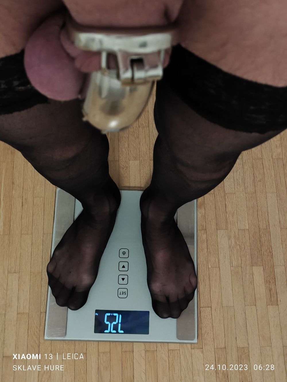 Mandatory weighing cagecheck plugcheck Oktober 24, 2023 #6