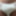 Panties #14