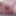Soft uncut penis