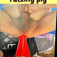 Piggy