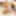 FEMOUT.XXX: Introducing Scarlett Fox #7