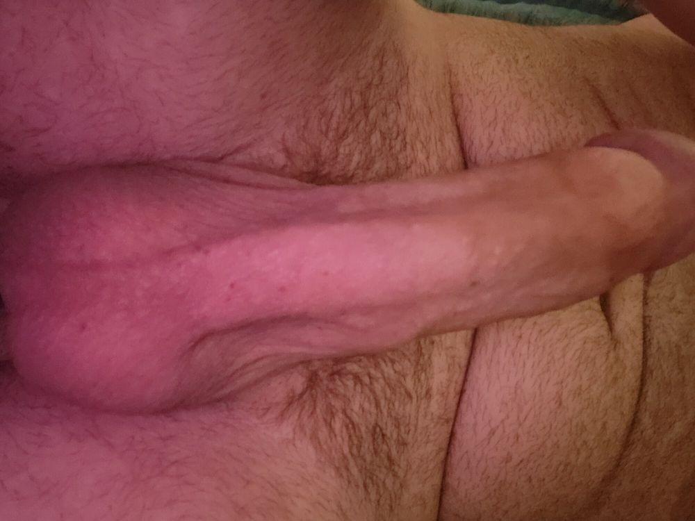 Hairy bear #2