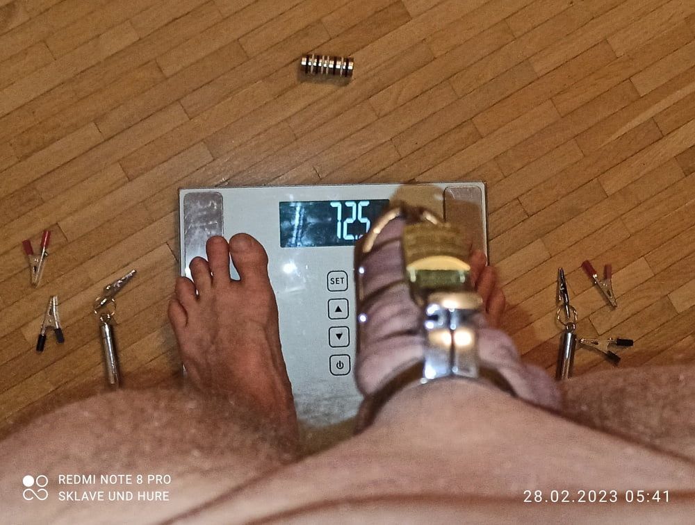 weighing, cagecheck nippleclamp  of 28.02.2023 #8