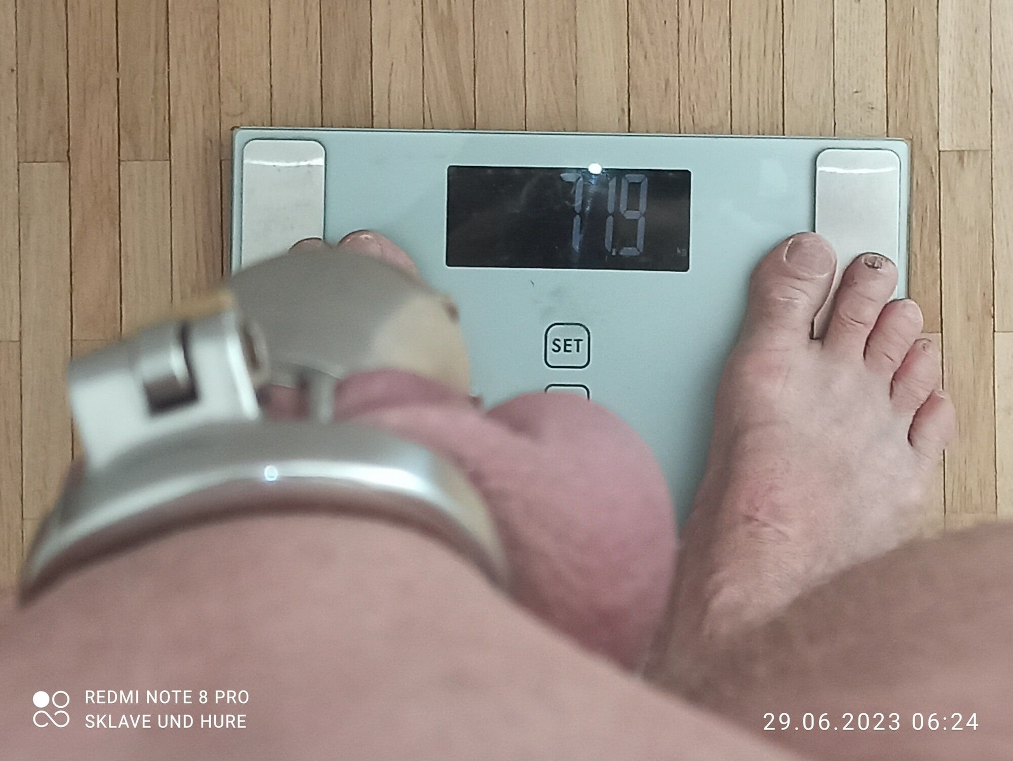 weighing , cagecheck, 29.06.2023 #12