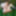 TGIRLS XXX: Jade Venus Comes Back! #5