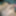 ハードディックの新しい写真
