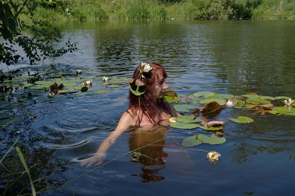 In the Pond #3