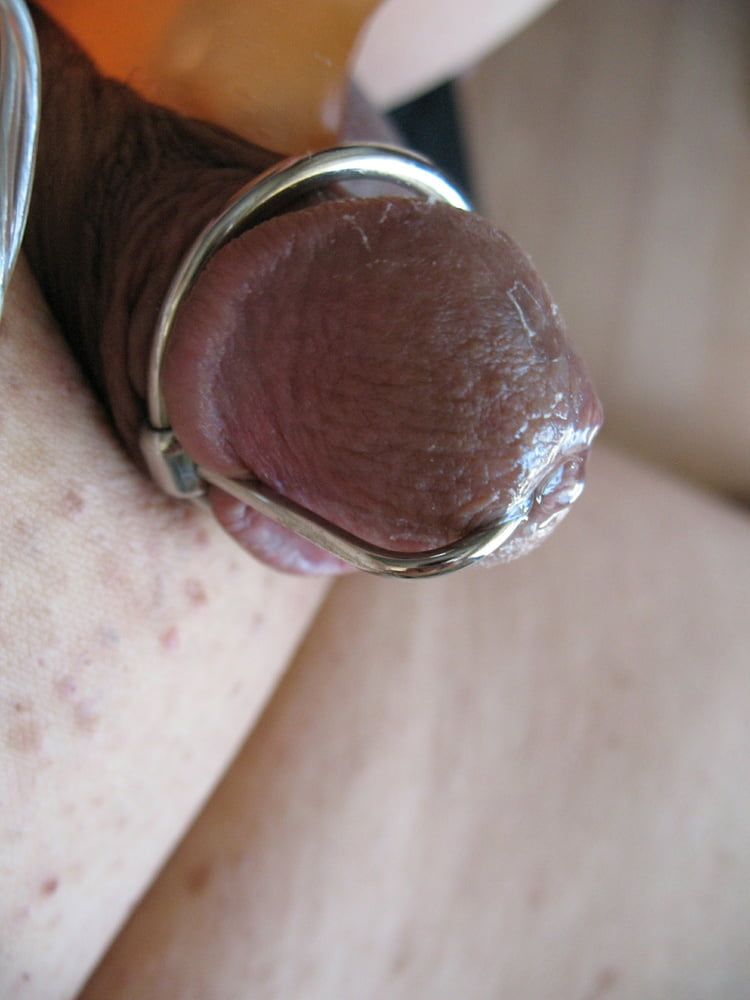 More steel in my cock with glans ring #21