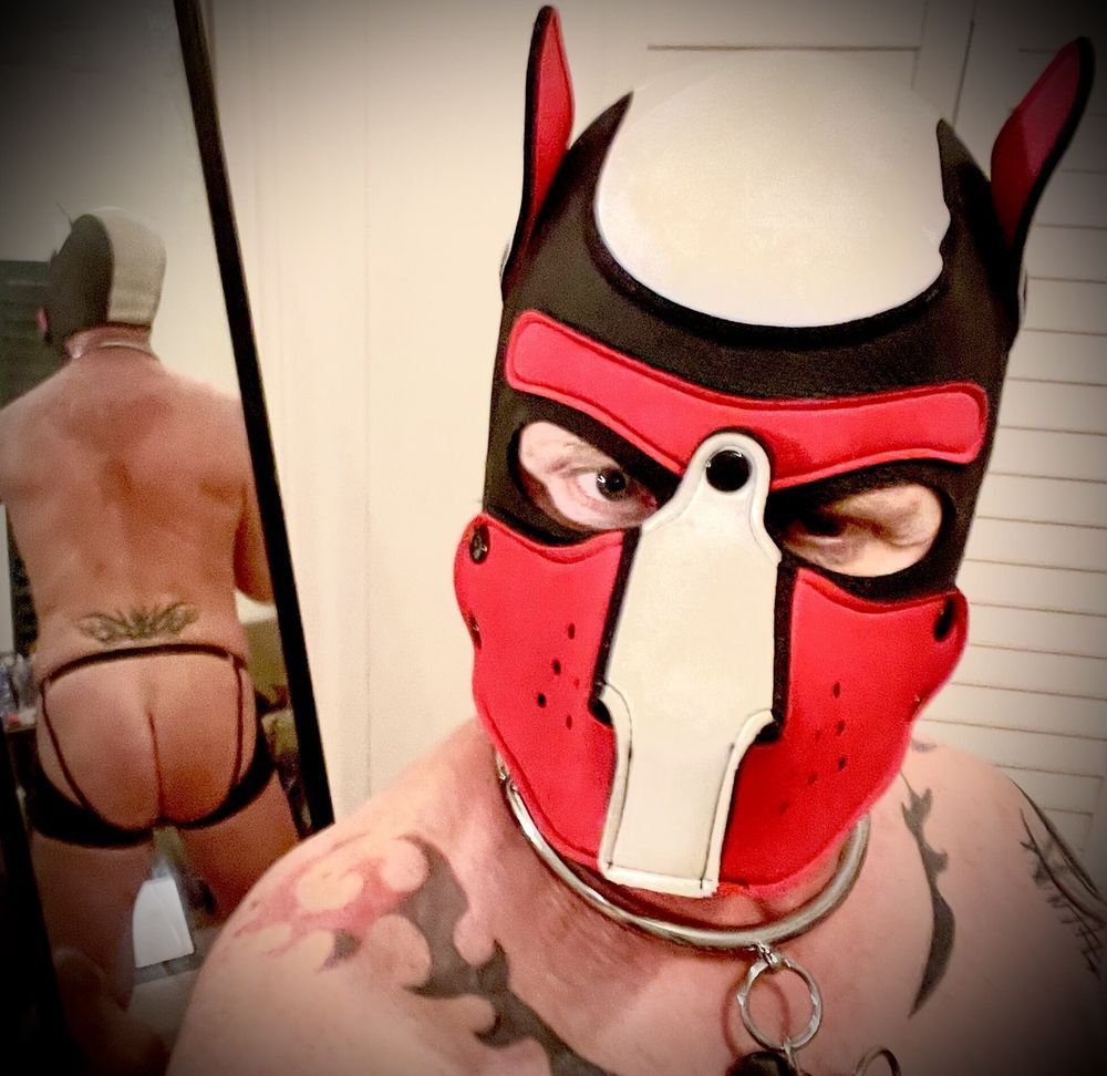 Sub pup yearning  for an Alpha #8