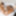 TGIRLS PORN: Cardi and Asteria Suck and Fuck