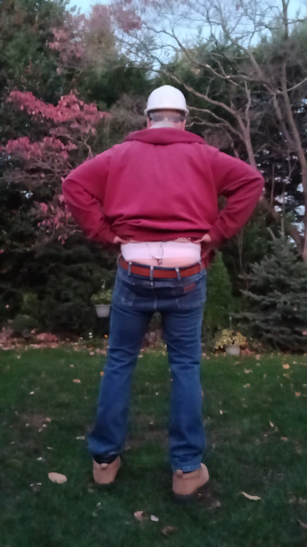 Safety harness for tree pruning  #4