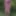 Flowered dress #39