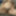 Naughty BBW  #7