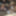 Sunday, July 30, 2023 #4