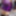 Violet Sissy Bimbo Harley Quinn Uniform Brandynette Aug 2019 #2