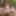Nackt im Wald 02 #20