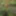 Bashful in the forest, where nature&#039;s secrets whisper #2