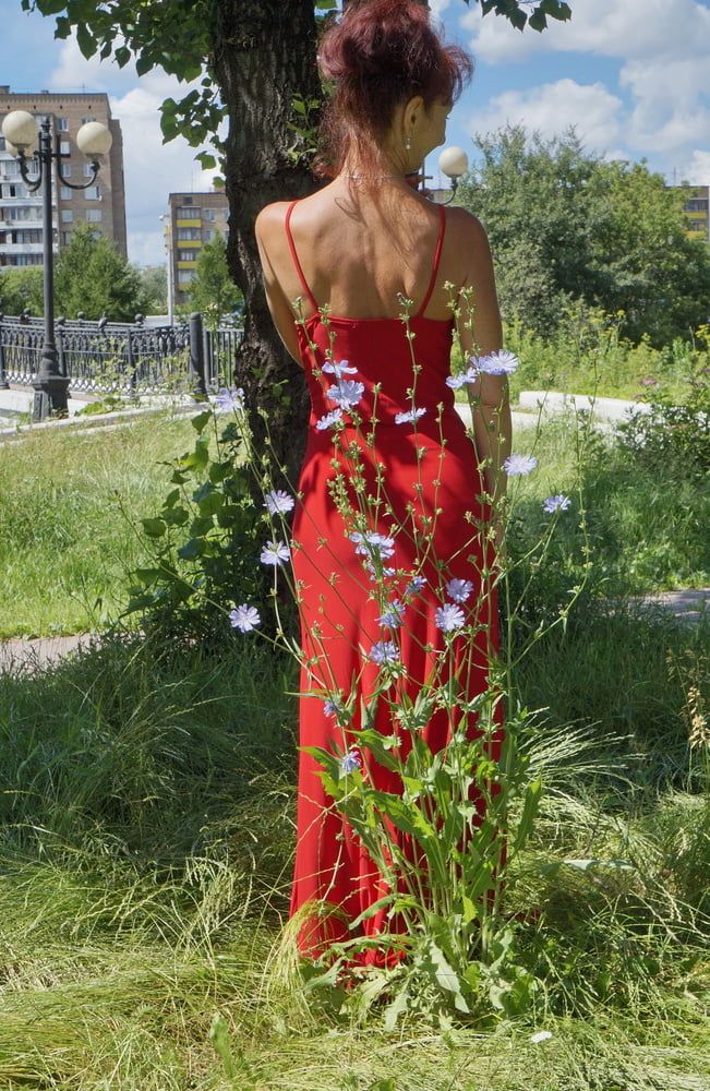 Red dress - green garden #15