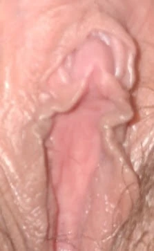 Random pics