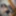 Daddys_slut Free Photos #2
