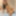 Young and beautiful Asian in lingerie