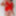 Red teddy